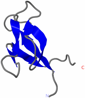 Image NMR Structure - model 1