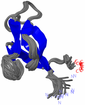 Image NMR Structure - all models