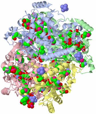 Image Asym./Biol. Unit