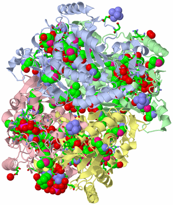Image Asym./Biol. Unit - sites