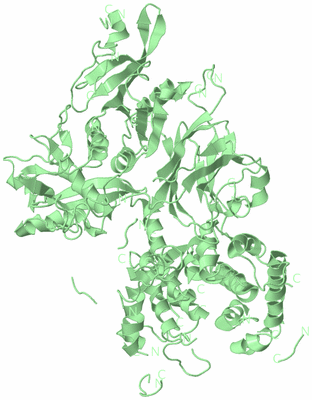 Image Biological Unit 2