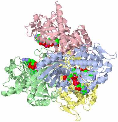 Image Asym./Biol. Unit