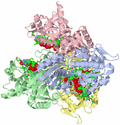 Image Asym./Biol. Unit - sites