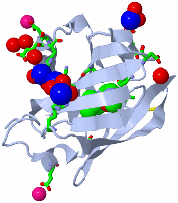 Image Biol. Unit 1 - sites