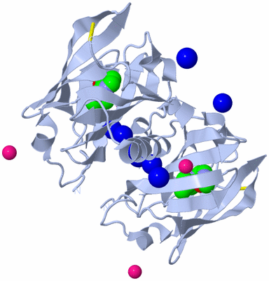 Image Biological Unit 2