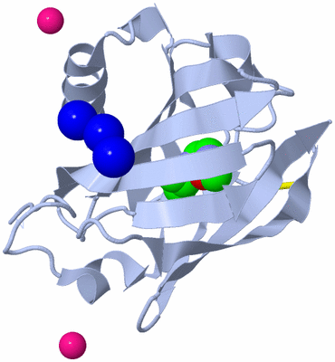 Image Biological Unit 1