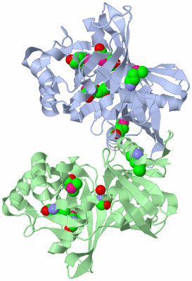 Image Biological Unit 1
