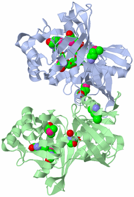 Image Biol. Unit 1 - sites