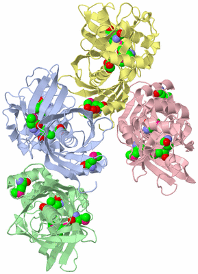 Image Biological Unit 3
