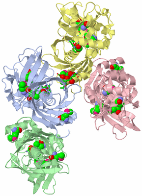 Image Asym. Unit - sites