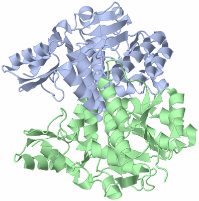 Image Asym./Biol. Unit