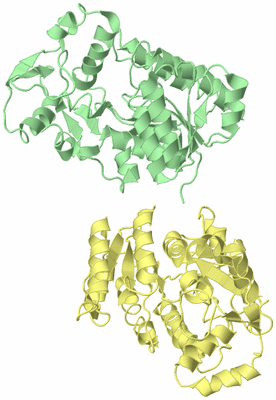 Image Biological Unit 2