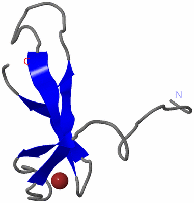 Image NMR Structure - model 1