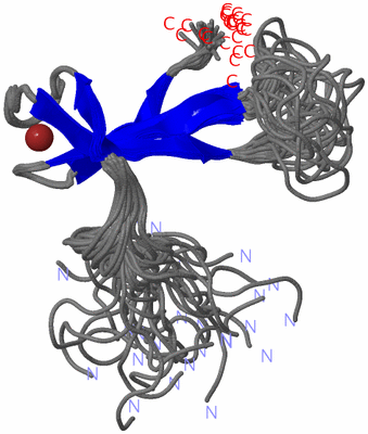 Image NMR Structure - all models