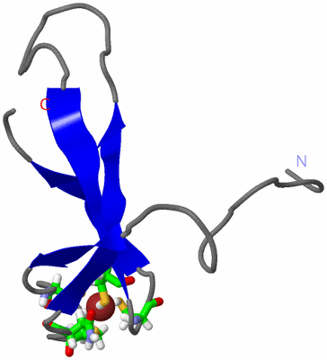 Image NMR Structure - model 1, sites