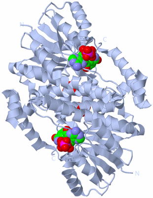 Image Biological Unit 1