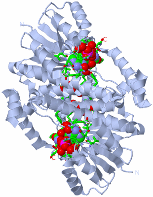 Image Biol. Unit 1 - sites