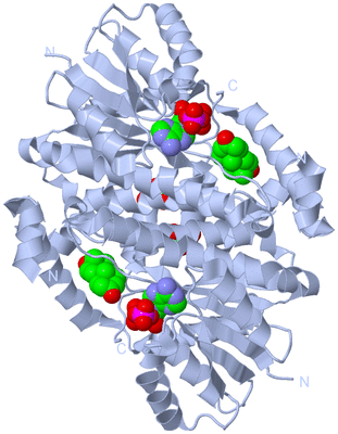 Image Biological Unit 1