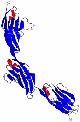 Image Asymmetric Unit
