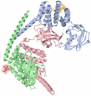 Image Asym./Biol. Unit