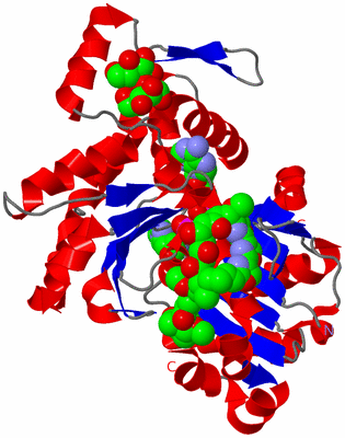 Image Asym./Biol. Unit