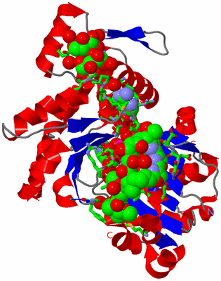 Image Asym./Biol. Unit - sites