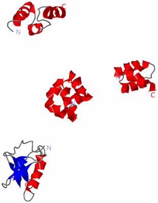 Image NMR Structure - model 1