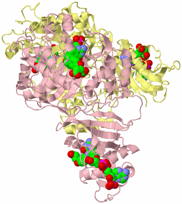 Image Biological Unit 2