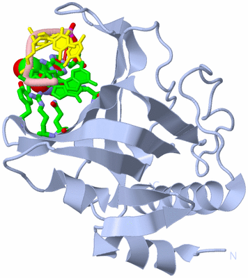 Image Biol. Unit 1 - sites