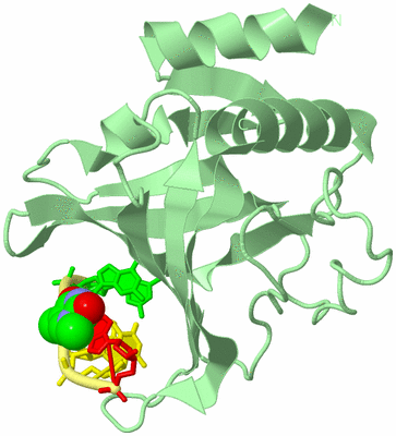 Image Biological Unit 2