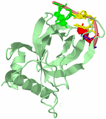 Image Biological Unit 2