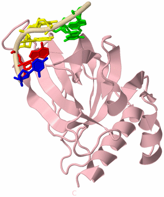 Image Biological Unit 3