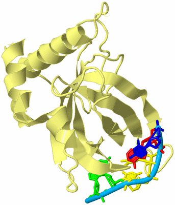 Image Biological Unit 4