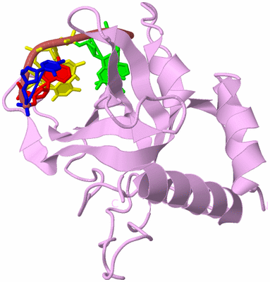 Image Biological Unit 5