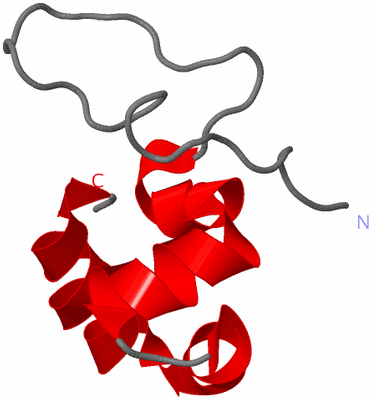 Image NMR Structure - model 1