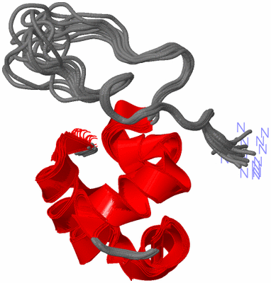 Image NMR Structure - all models