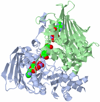 Image Asym./Biol. Unit