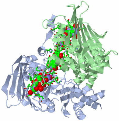 Image Asym./Biol. Unit - sites