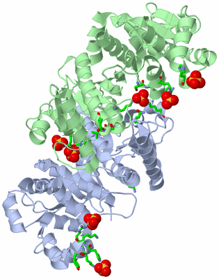 Image Biol. Unit 1 - sites