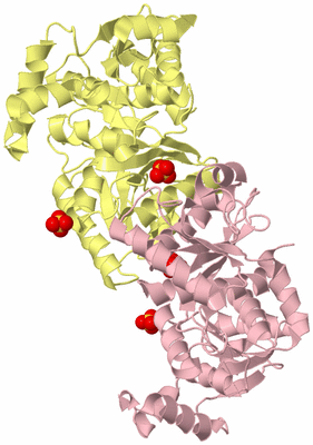 Image Biological Unit 2