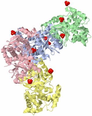 Image Biological Unit 3