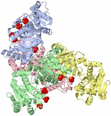 Image Biological Unit 4