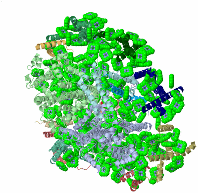 Image Biological Unit 1