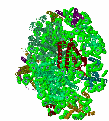 Image Biological Unit 2