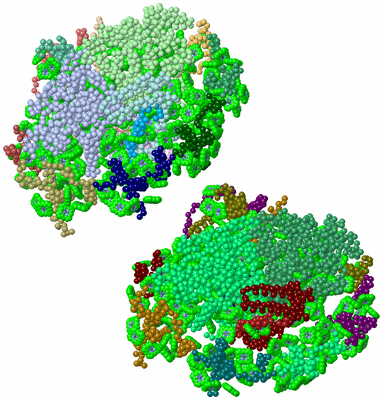 Image Asym. Unit - sites