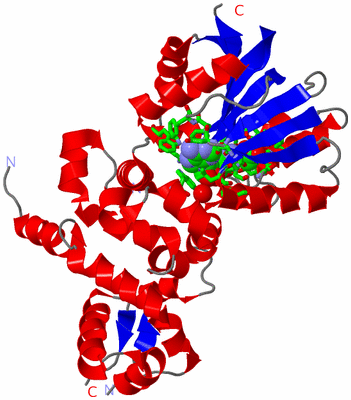 Image Asym. Unit - sites