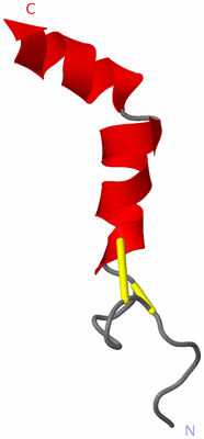 Image NMR Structure - model 1