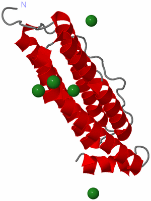 Image Asymmetric Unit