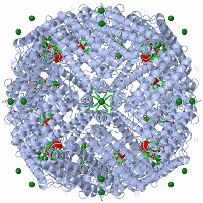 Image Biol. Unit 1 - sites