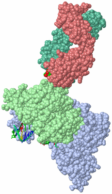 Image Asym./Biol. Unit